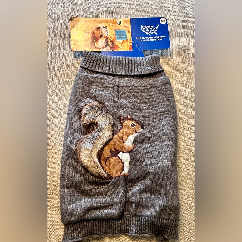 Puppy/Dog Squirrel themed sweater.